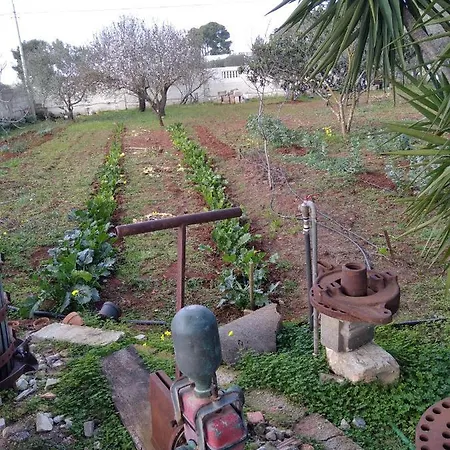 Villa Maria * סאווה