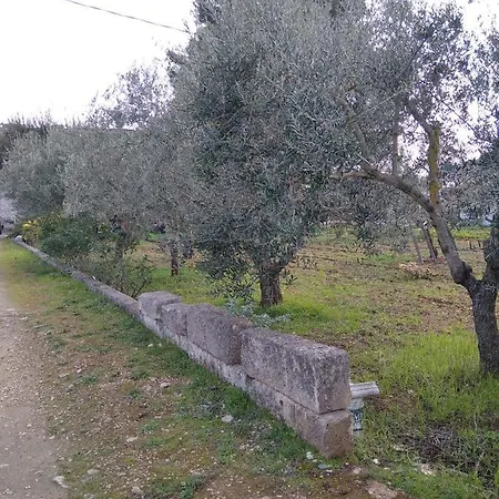 Villa Maria * סאווה