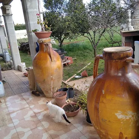 Villa Maria Apartmán *